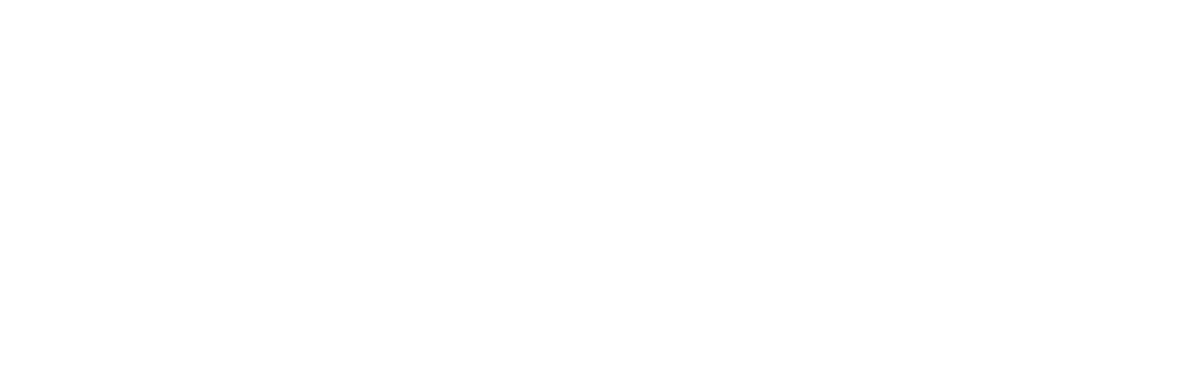 Logo Mono White